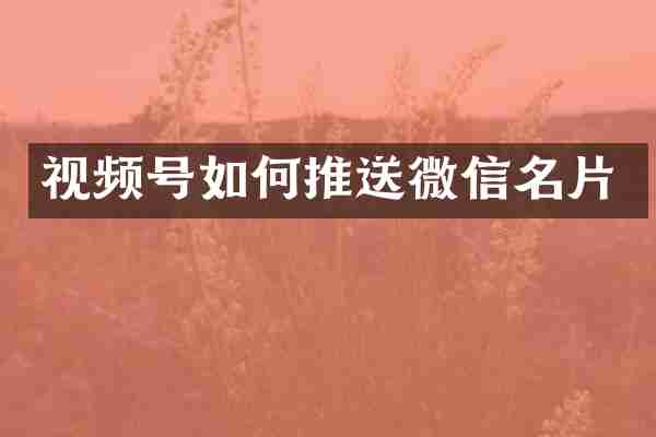 视频号如何推送微信名片