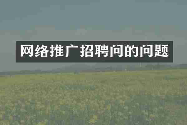 网络推广招聘问的问题