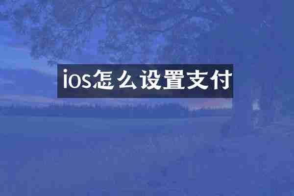 ios怎么设置支付