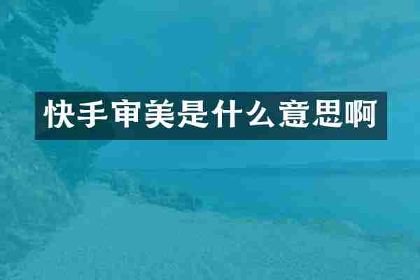快手审美是什么意思啊
