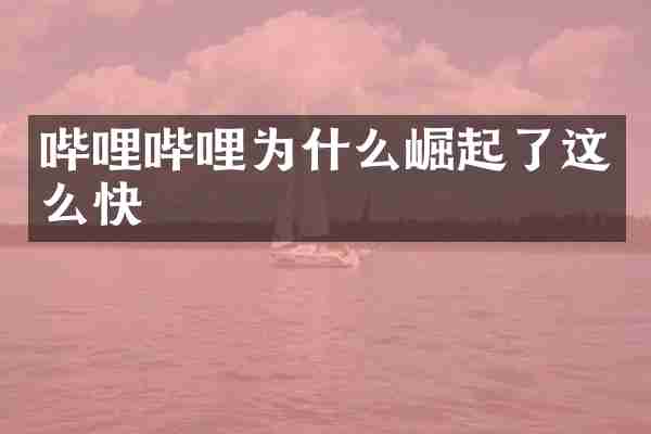 哔哩哔哩为什么崛起了这么快