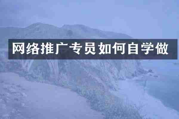 网络推广专员如何自学做