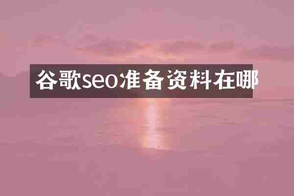 谷歌seo准备资料在哪