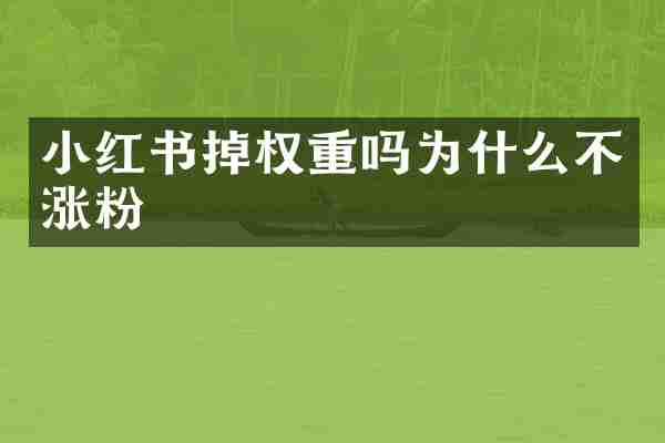 小红书掉权重吗为什么不涨粉