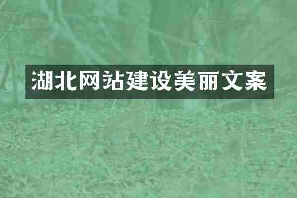 湖北网站建设美丽文案