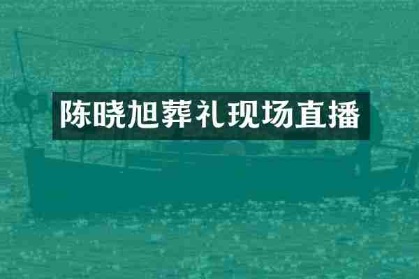 陈晓旭葬礼现场直播