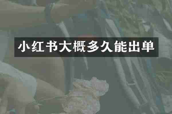 小红书大概多久能出单