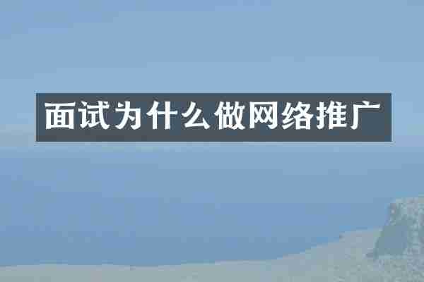 面试为什么做网络推广
