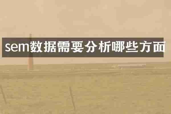 sem数据需要分析哪些方面
