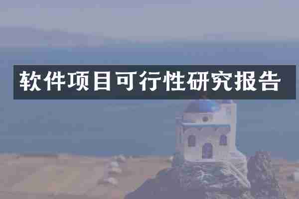 软件项目可行性研究报告