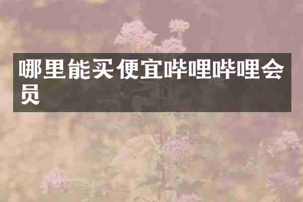 哪里能买便宜哔哩哔哩会员