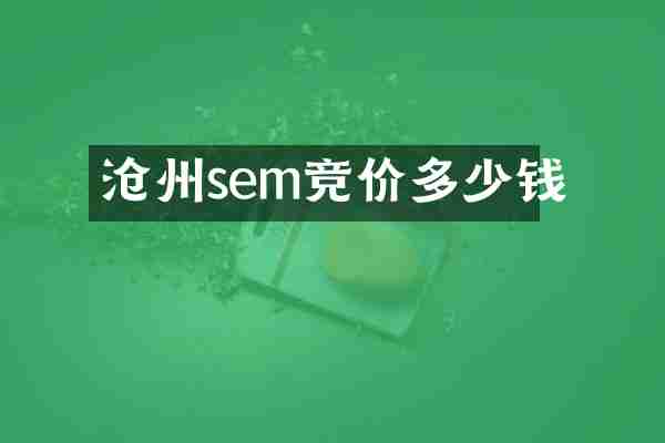 沧州sem竞价多少钱
