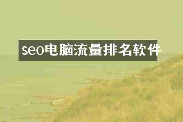 seo电脑流量排名软件