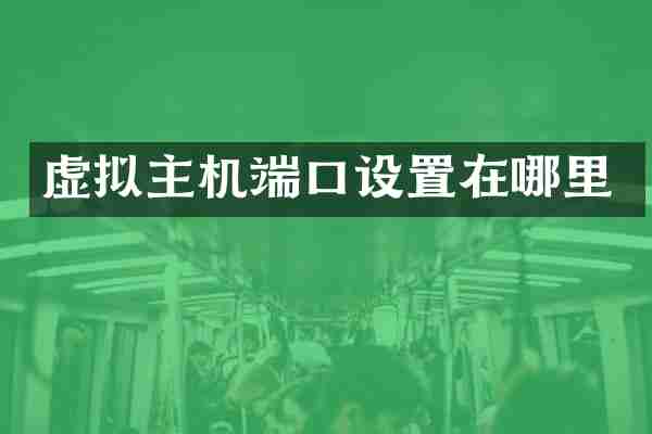 虚拟主机端口设置在哪里
