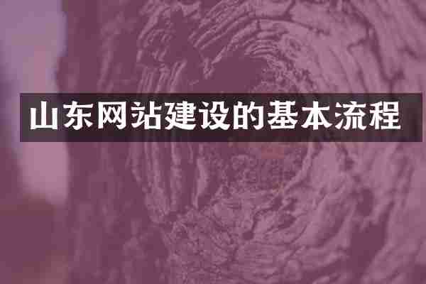 山东网站建设的基本流程