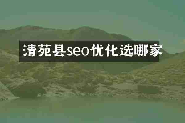 清苑县seo优化选哪家