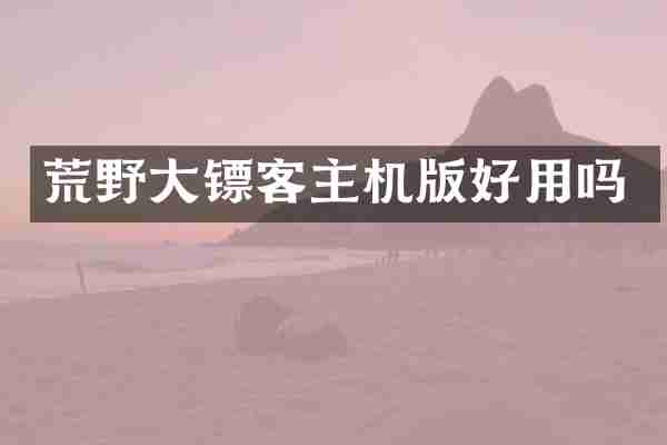 荒野大镖客主机版好用吗