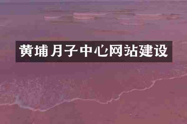 黄埔月子中心网站建设