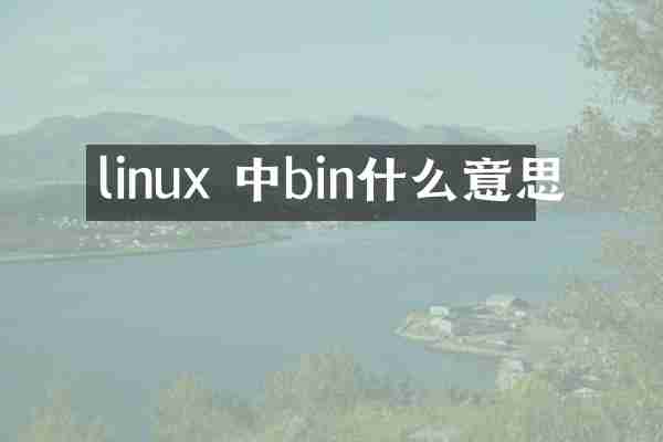 linux 中bin什么意思
