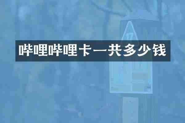 哔哩哔哩卡一共多少钱