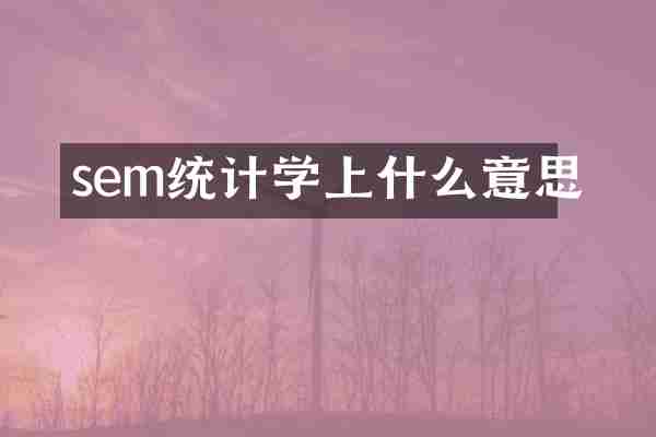 sem统计学上什么意思