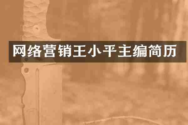 网络营销王小平主编简历