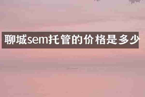 聊城sem托管的价格是多少