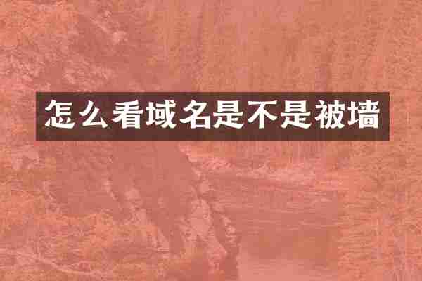 怎么看域名是不是被墙
