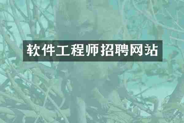 软件工程师招聘网站
