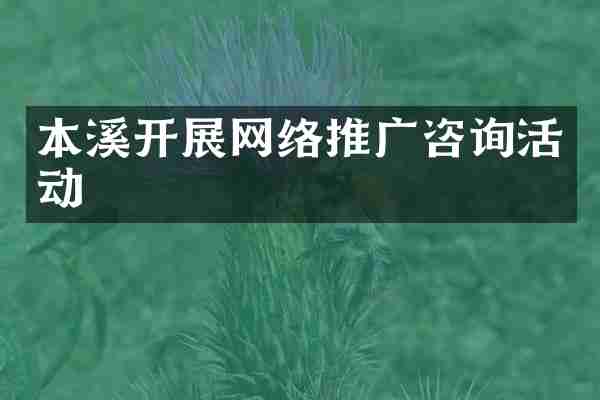 本溪开展网络推广咨询活动
