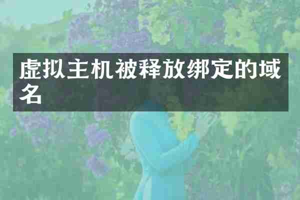 虚拟主机被释放绑定的域名