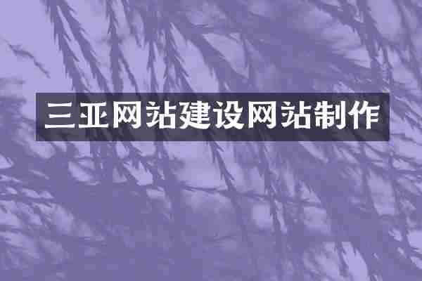 三亚网站建设网站制作