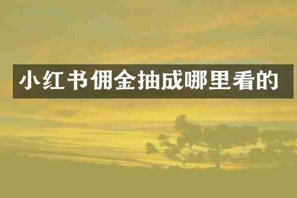 小红书佣金抽成哪里看的