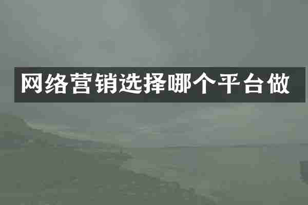 网络营销选择哪个平台做