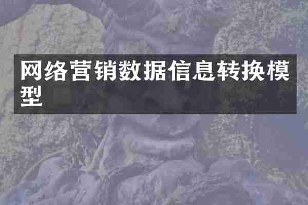 网络营销数据信息转换模型