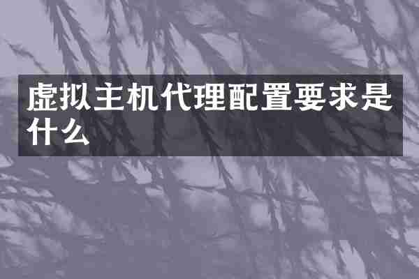虚拟主机代理配置要求是什么