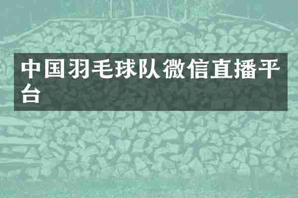 中国羽毛球队微信直播平台