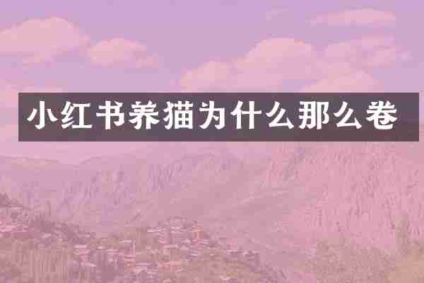 小红书养猫为什么那么卷