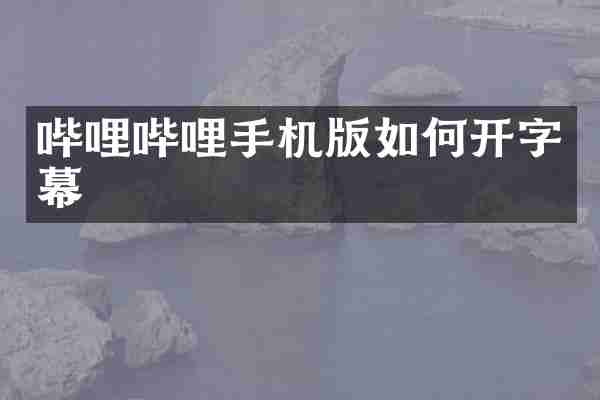 哔哩哔哩手机版如何开字幕