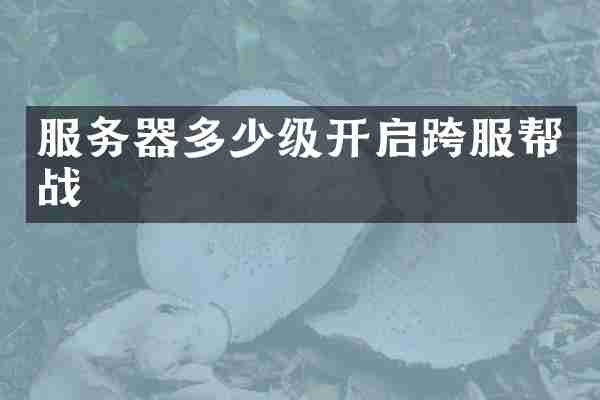 服务器多少级开启跨服帮战
