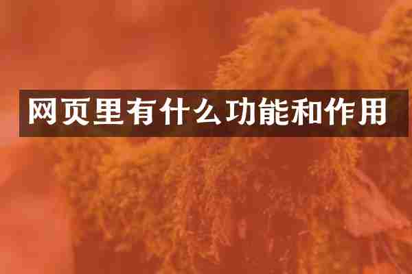 网页里有什么功能和作用