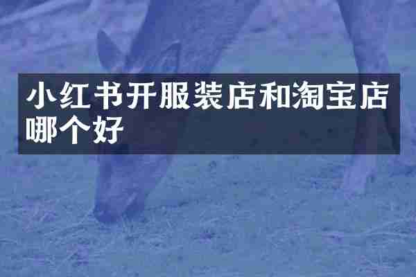 小红书开服装店和淘宝店哪个好
