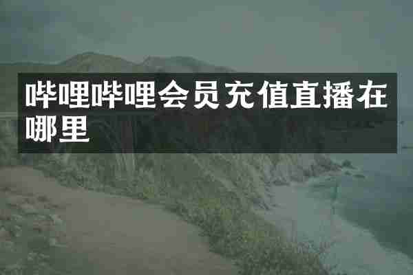 哔哩哔哩会员充值直播在哪里