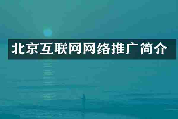 北京互联网网络推广简介