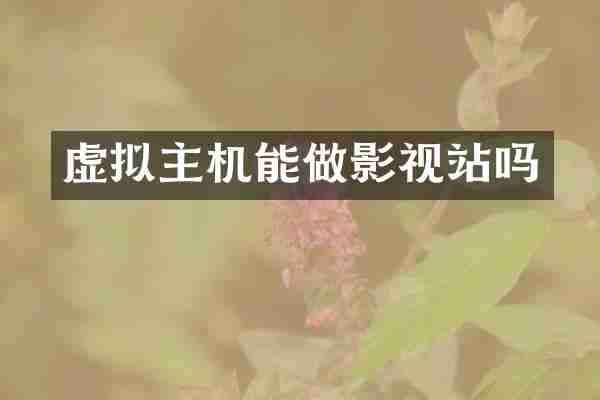 虚拟主机能做影视站吗