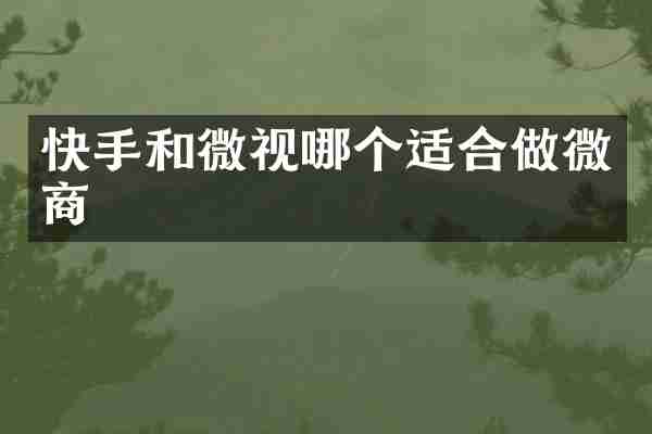 快手和微视哪个适合做微商