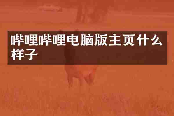 哔哩哔哩电脑版主页什么样子