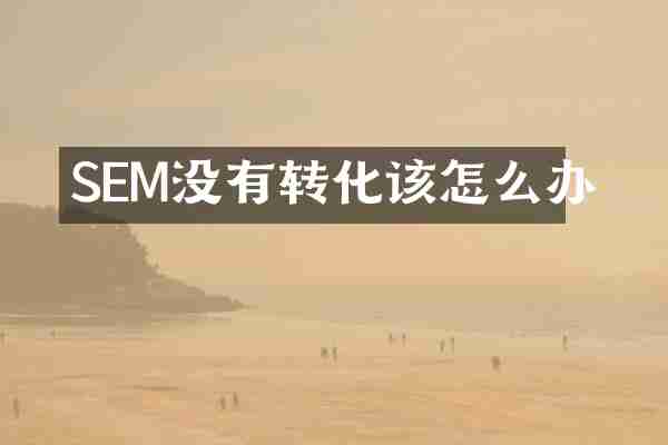 SEM没有转化该怎么办