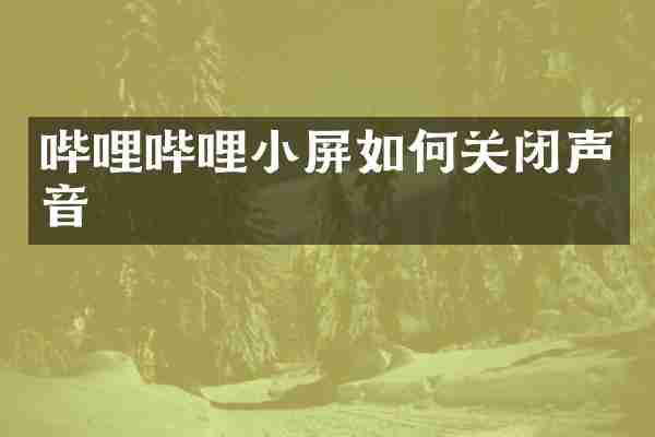 哔哩哔哩小屏如何关闭声音
