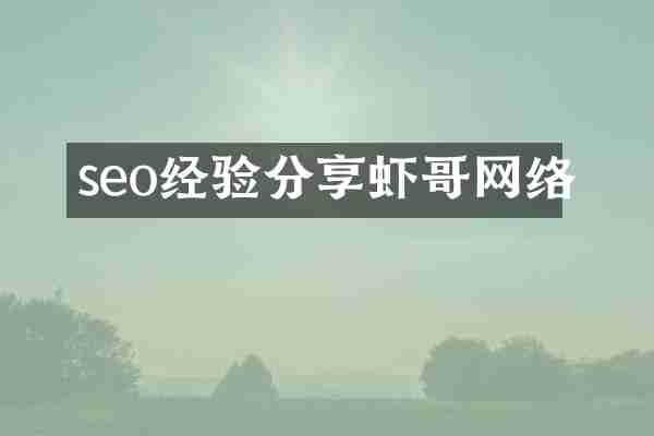 seo经验分享虾哥网络